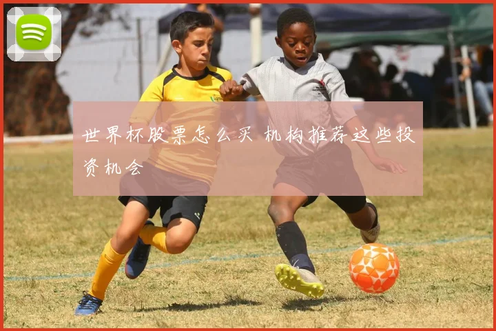 世界杯股票怎么买 机构推荐这些投资机会