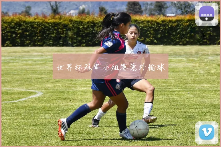 世界杯冠军小组赛意外输球