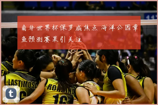 南非世界杯保罗成焦点 海洋公园章鱼预测赛果引关注